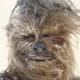 Wookiee5
