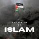 thenationofislam