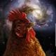 CosmicChicken
