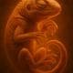 IguanaFetus69