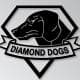 diamonddogs113
