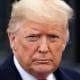 rlDonaldTrump