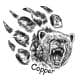 BearCopper