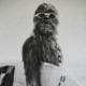 itsawookiee