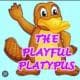 PlayfulPlatypus